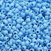 TOHO 6/0 Round Beads SEED-TR06-0403F-4