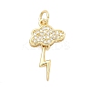 Brass Micro Pave Cubic Zirconia Pendants LS-KK-D105-04G-1