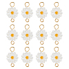 12Pcs Natural Freshwater Shell Flower Connector Charms PALLOY-HS00006-1