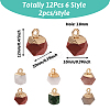 12Pcs 6 Style Natural Gemstone Charms G-FW0001-24-3