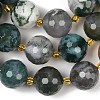 Natural Moss Agate Beads Strands G-C249-A08-16mm-5