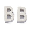 Tarnish Resistant 304 Stainless Steel Charms STAS-K216-41B-P-1