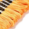 10 Skeins 6-Ply Polyester Embroidery Floss OCOR-K006-A48-2