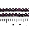 Natural Ruby Beads Strands G-P553-G01-04-6
