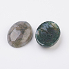 Natural Indian Agate Flat Back Cabochons G-G741-13x18mm-03-2