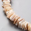 Natural Freshwater Shell Beads Strands SHEL-C001-10-3
