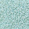 TOHO Round Seed Beads SEED-TR11-PF2116-2