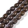 Natural Red Snowflake Obsidian Beads Strands G-K362-D01-02-1