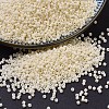 MIYUKI Delica Beads SEED-MY11-DB0762-1