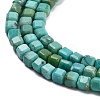 Natural HuBei Turquoise Beads Strands G-H042-B34-01-4