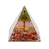 Orgonite Pyramid Resin Energy Generators DJEW-D013-06B-1