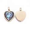 Natural Abalone Shell/Paua ShellCharms X-BSHE-F011-04B-G-2