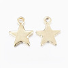 304 Stainless Steel Charms STAS-H436-51-2