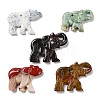 Natural Red Jasper/Unakite/Dyed & Heated Black Agate/Agate Animal Carved Pendants G-K383-02-1