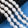 Natural Cultured Freshwater Pearl Beads Strands PEAR-N014-08F-2