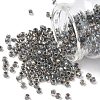 TOHO 6/0 Round Beads SEED-TR06-0266-1