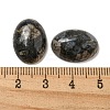 Natural Glaucophane Cabochons G-C115-01A-23-3