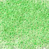 8/0 Transparent Glass Seed Beads SEED-F003-03B-13-3