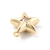 Brass Micro Pave Cubic Zirconia Pendants LS-KK-D283-14G-2