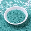 MIYUKI Round Rocailles Beads SEED-G007-RR0412-2