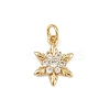 Brass Micro Pave Cubic Zirconia Charms KK-H077-02G-05-1