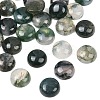 Natural Moss Agate Cabochons G-D367-01A-02-1