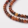 Natural Tiger Eye Bead Strand G-G680-48-3