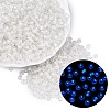 FGB Grade A Transparent Glass Seed Beads SEED-Q040-03A-12-1
