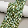 Natural Chrysoprase Beads Strands X-G-M389-22-1