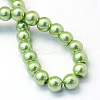 Baking Paint Pearlized Glass Pearl Round Bead Strands HY-Q003-10mm-26-4