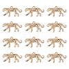 12Pcs Brass Charms KK-GO0002-28-1