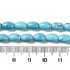 Natural Howlite Beads Strands G-H025-02B-5