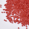 FGB 11/0 Grade A Glass Seed Beads SEED-S030-0774-2