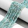 Natural HuBei Turquoise Beads Strands LS-G-G792-38-01-2