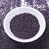 MIYUKI Delica Beads SEED-X0054-DB0455-2