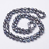 Natural Pearl Beaded Necklaces NJEW-P149-01B-01-1
