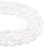 2 Strands Natural Trochus Shell Beads Strands SHEL-TA0001-20-1