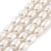 Natural Cultured Freshwater Pearl Beads Strands PEAR-P062-08D-2