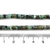 Natural African Turquoise(Jasper) Beads Strands X-G-A220-B03-01-5