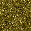 TOHO Round Seed Beads SEED-XTR11-0996FM-2
