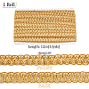 Polyester Braided Lace Trim OCOR-WH0078-09A-2