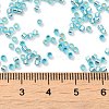Glass Seed Beads X-SEED-S042-04B-23-4