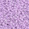 FGB Grade A Transparent Glass Seed Beads SEED-Q040-03A-05-4
