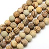Frosted Natural Picture Jasper Round Bead Strands G-M064-12mm-05-1
