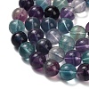 Natural Fluorite Beads Strands G-L634-B04-12mm-5