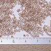 MIYUKI Delica Beads X-SEED-J020-DB0069-4