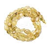 Natural Gold Rutilated Quartz Beads Strands G-K395-A09-01-3