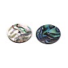 Natural Paua Shell Beads SSHEL-N040-20B-2