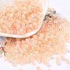 6/0 Opaque Colours Rainbow Plated Round Glass Seed Beads SEED-T006-04D-08-1