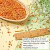 200G Electroplate Glass Seed Beads GLAA-SZ0002-17A-2